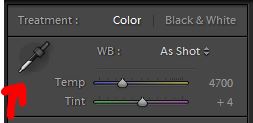 Image example showing where the white balance dropper is in Adobe Lightroom