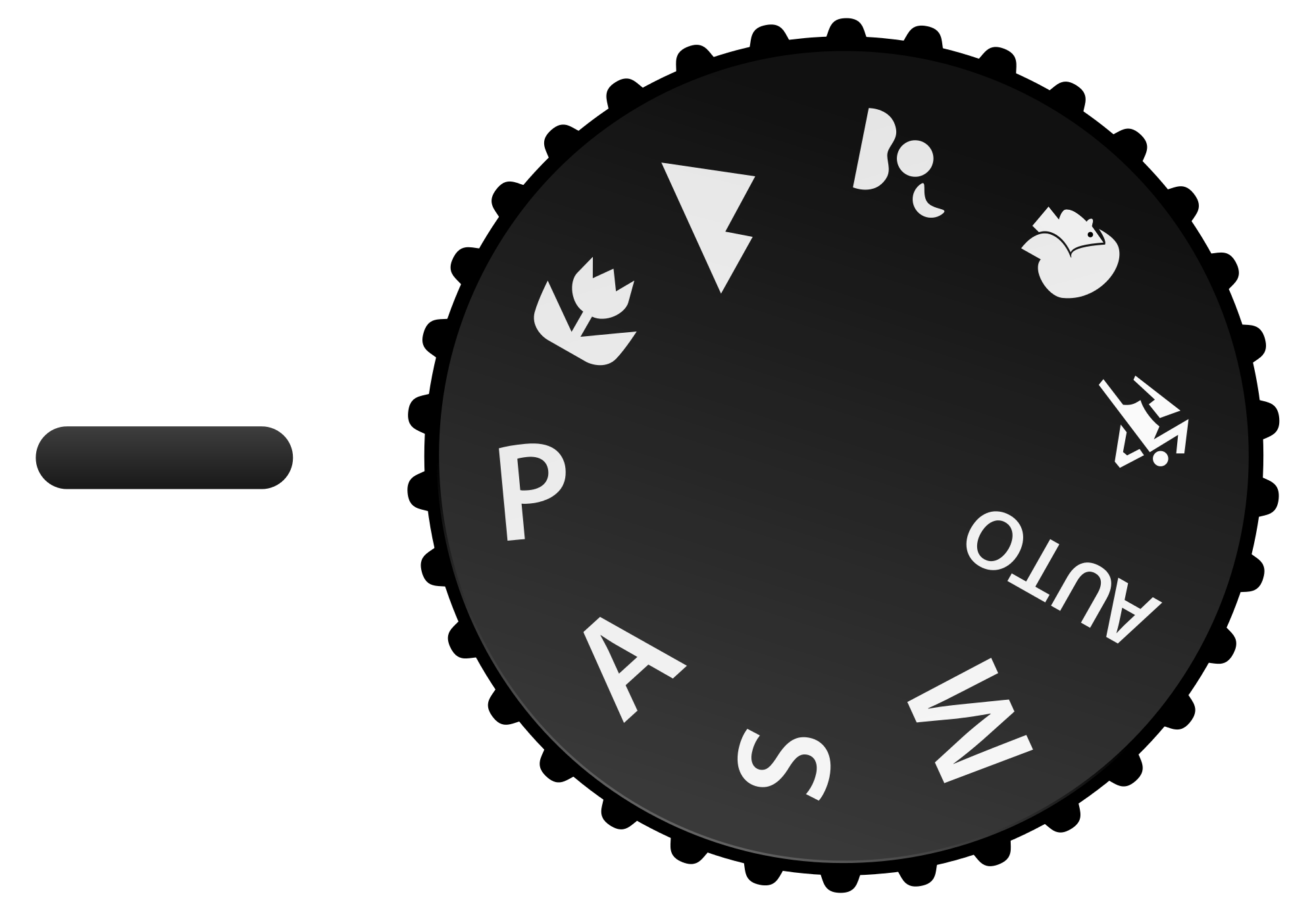 A camera mode dial set to P mode.