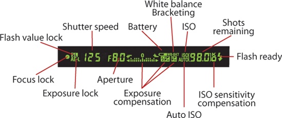 Nikon Viewfinder Showing Shutter Speed