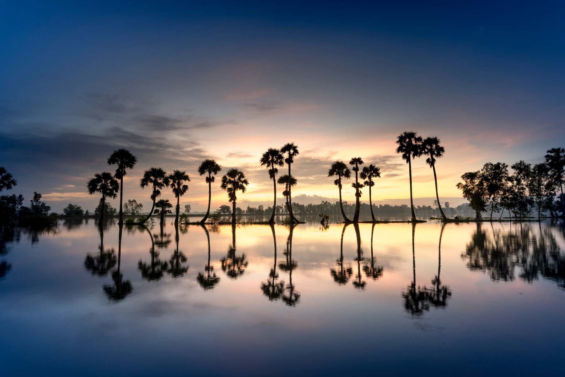 Palm trees reflecting on water after the sun has set.