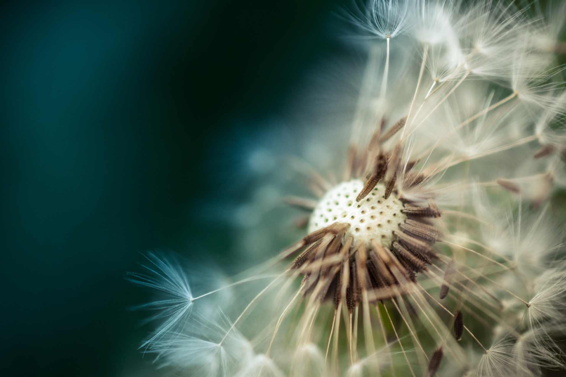 The Best Photography Hashtags For Every Genre ComposeClick