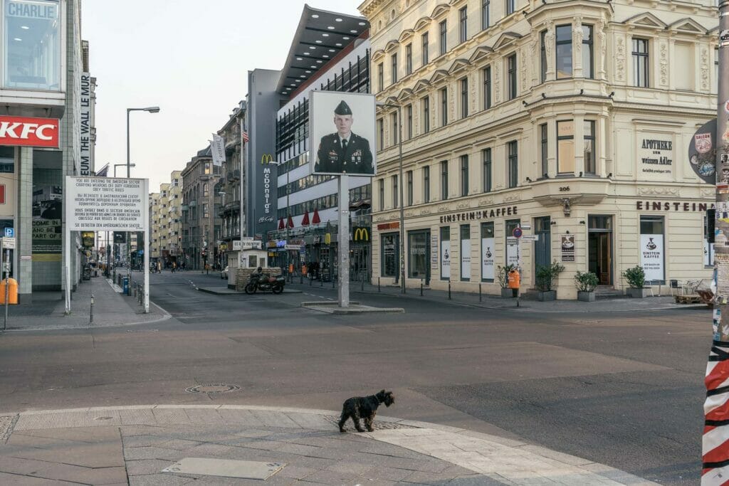 A small black dog on a sidewalk at in intersection with no people in sight.