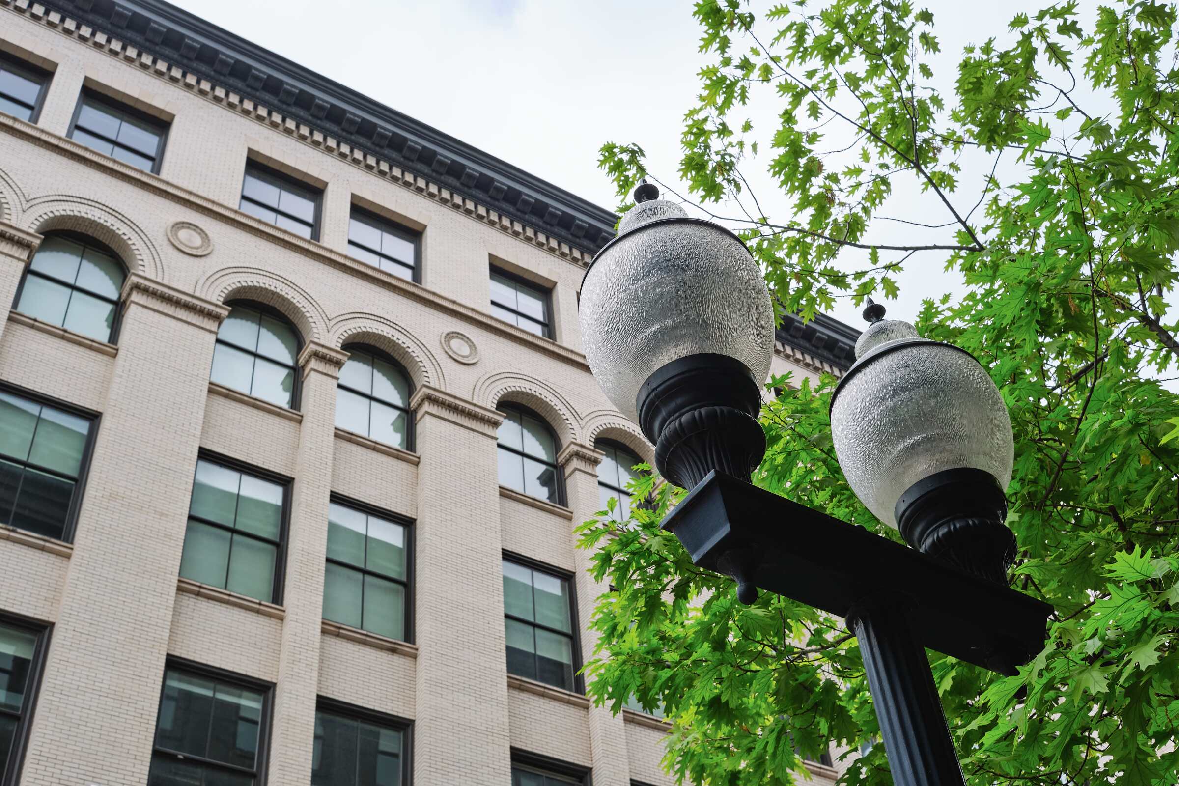 A street lamp, a building, and a tree.