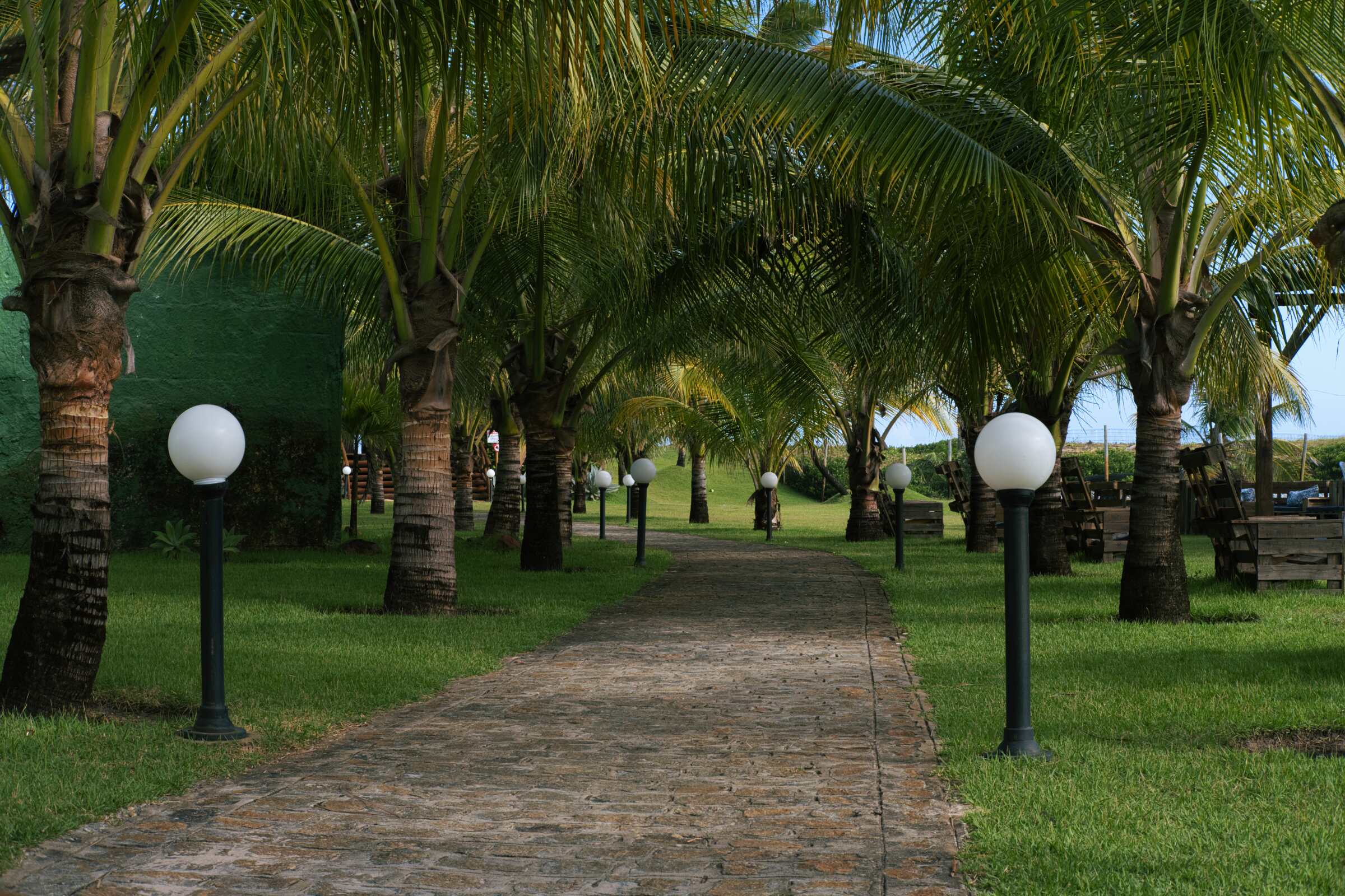 A walkway in a tropical place with Luminar Neo mood effect added.