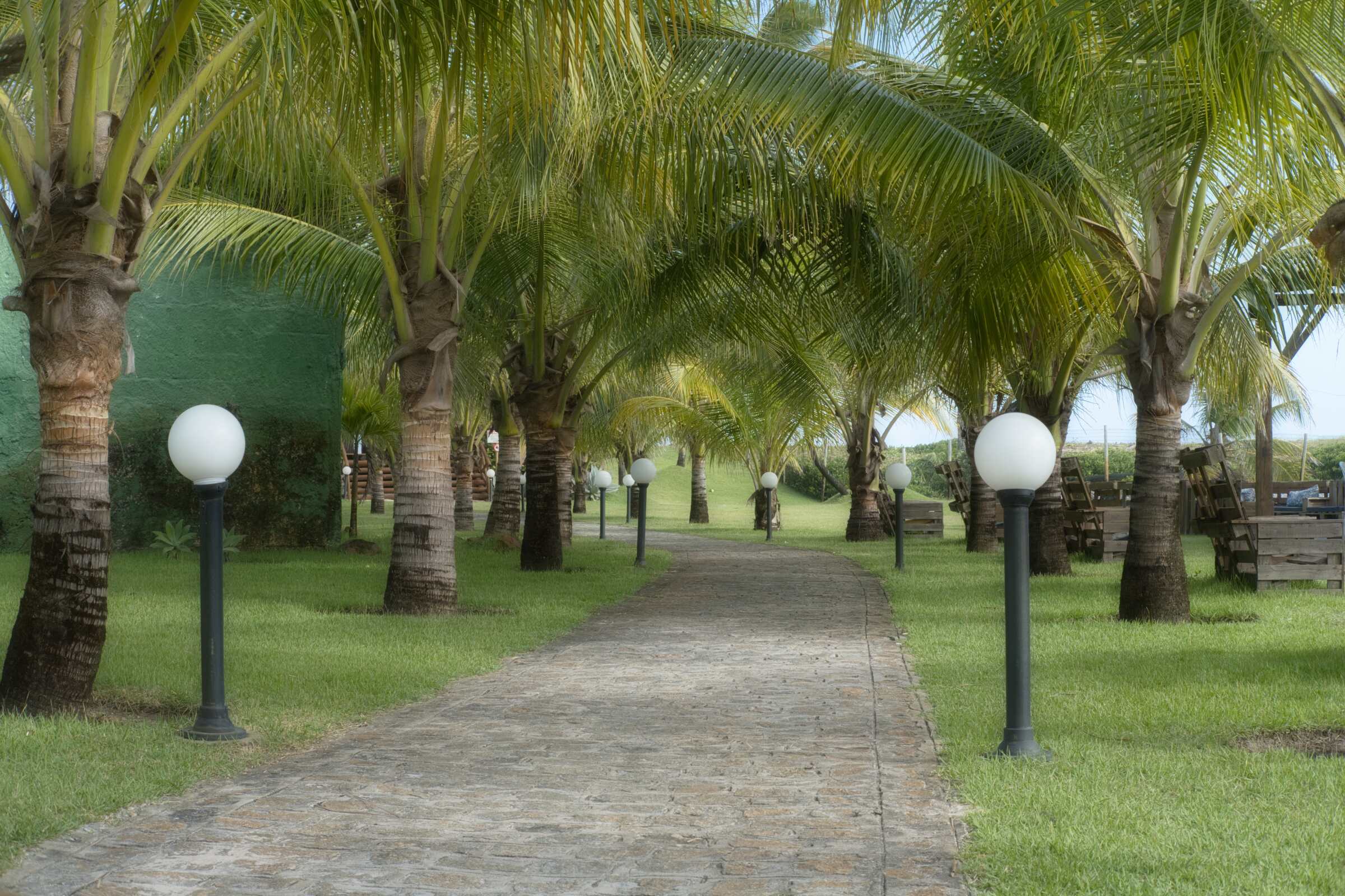 A walkway in a tropical place with the glow tool's orton effect soft feature.