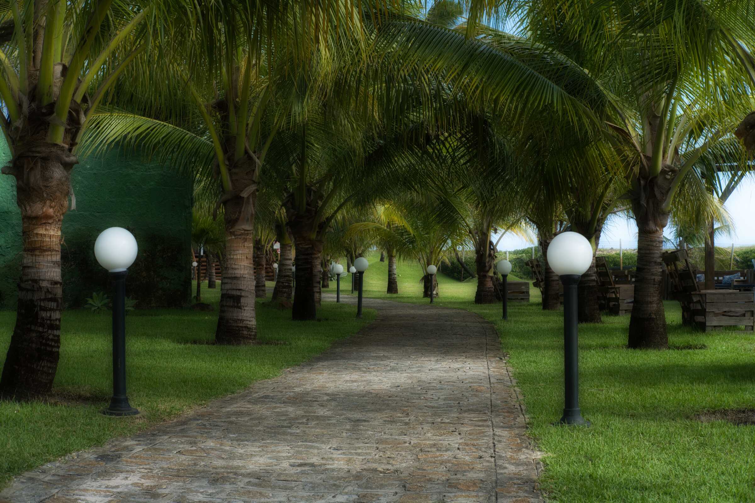 A walkway in a tropical place with mystical effect added.