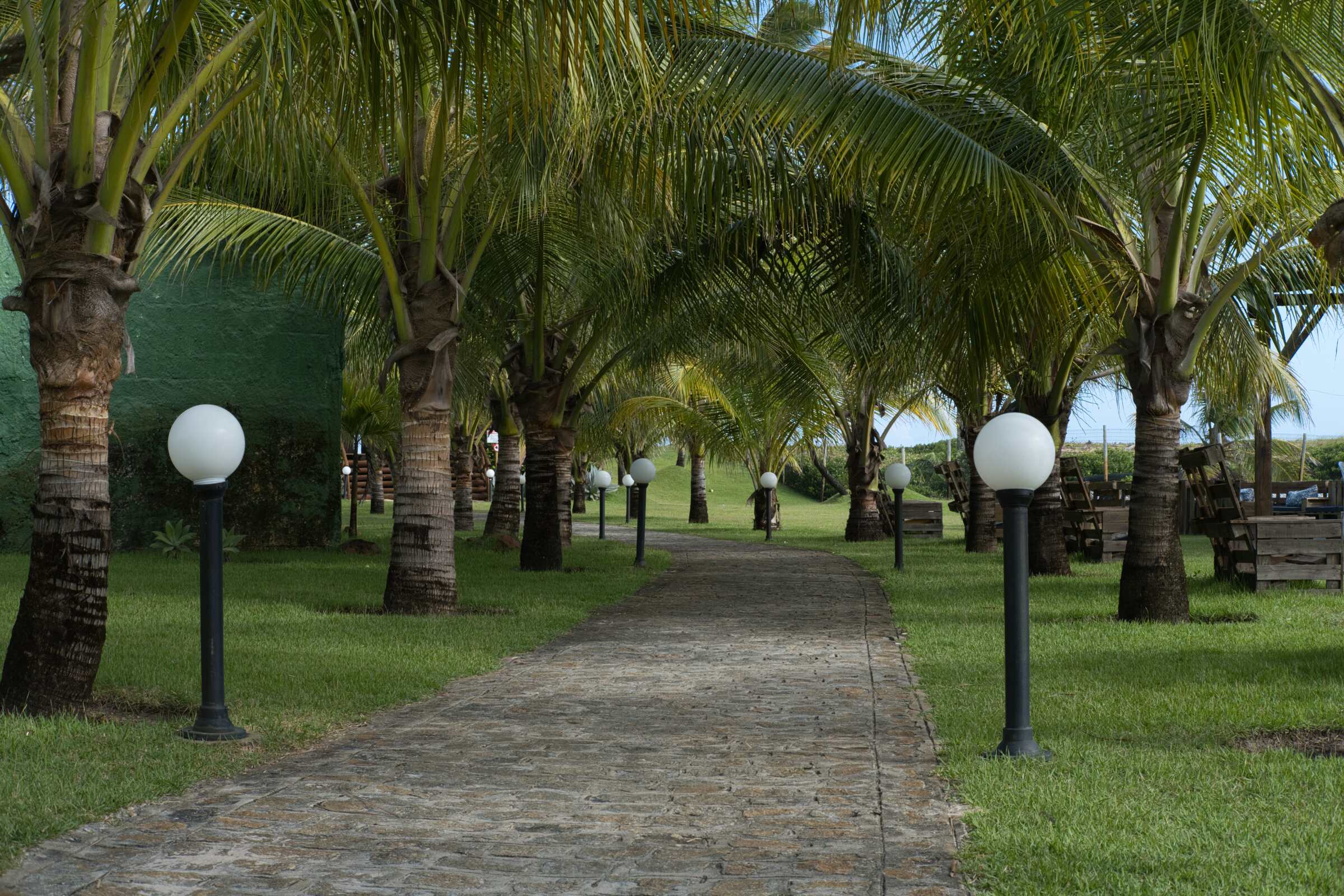 A walkway in a tropical place unedited.