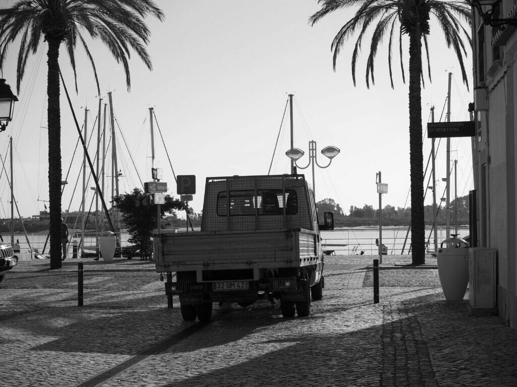 A truck in a tropical place by water.