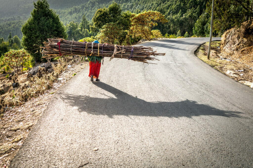 A short woman carry a large bundle of wood down a steep road.