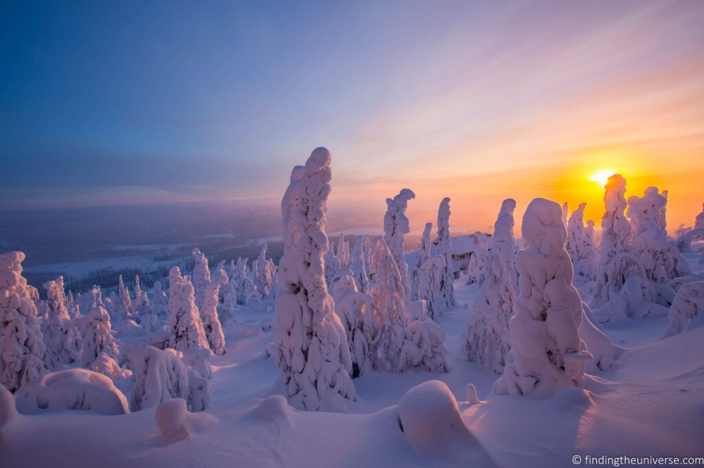Trees covered in snow at sunset.