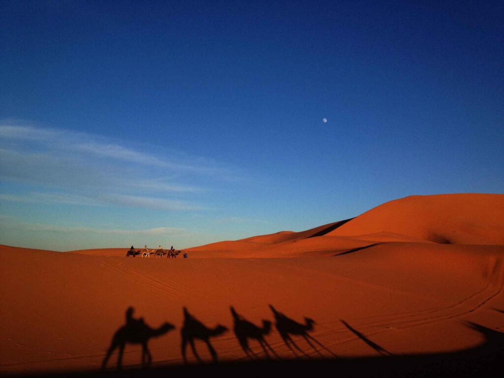 People riding camels in a desert.