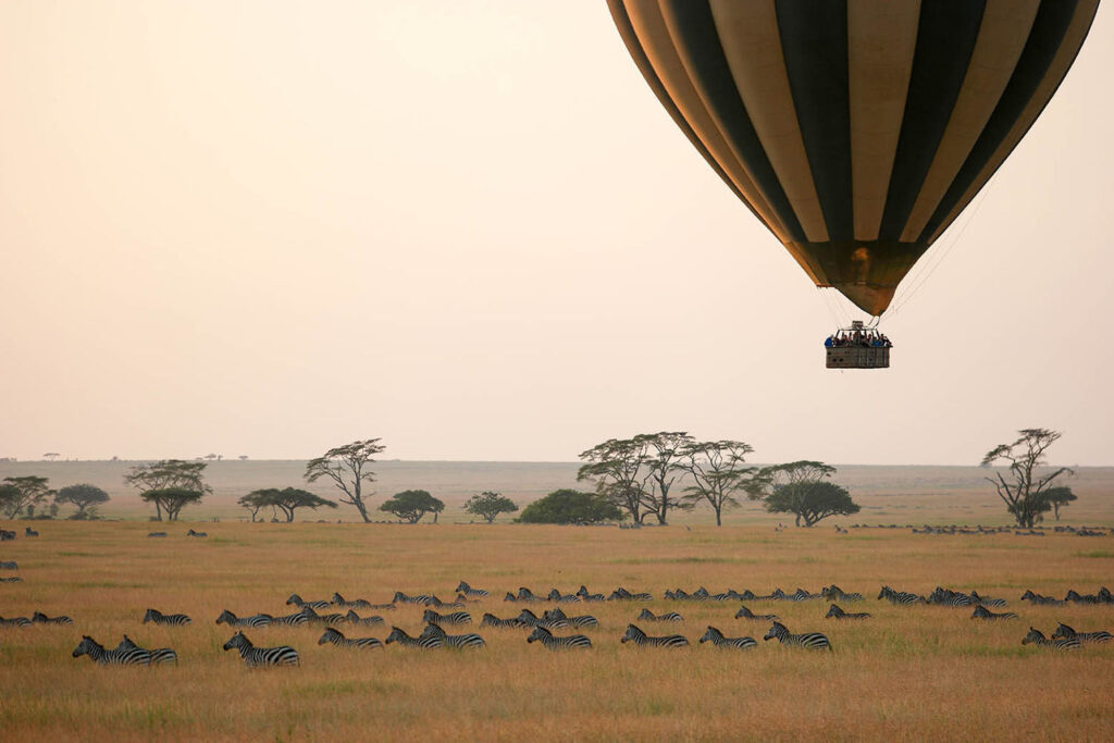 A balloon above an African field filled with zebras.