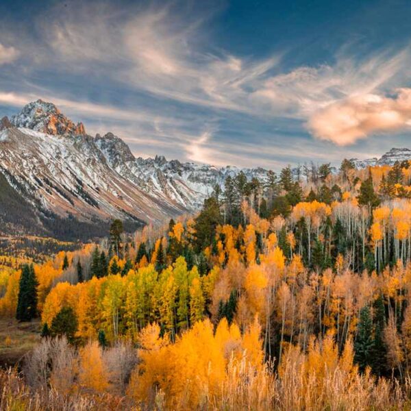 Brian Lynch Photographer Interview